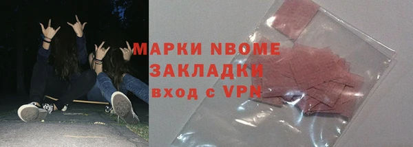 сатива Кулебаки