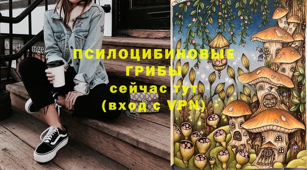 герыч Коряжма