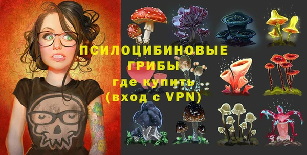apvp Костерёво