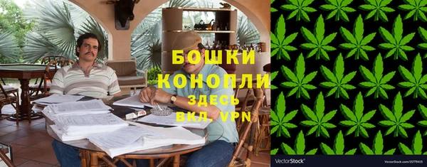 ПСИЛОЦИБИНОВЫЕ ГРИБЫ Щигры