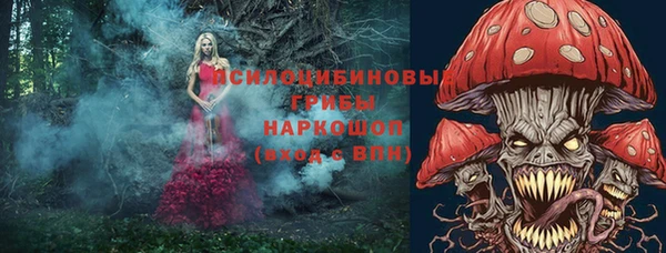 кокс Корсаков