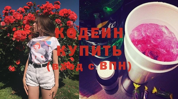 амф Щёлкино