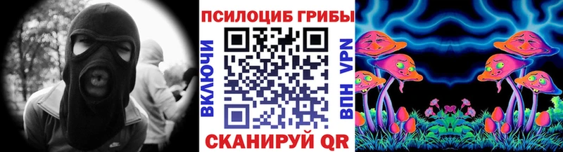 MEGA зеркало  Костерёво  Псилоцибиновые грибы прущие грибы  купить наркотик 